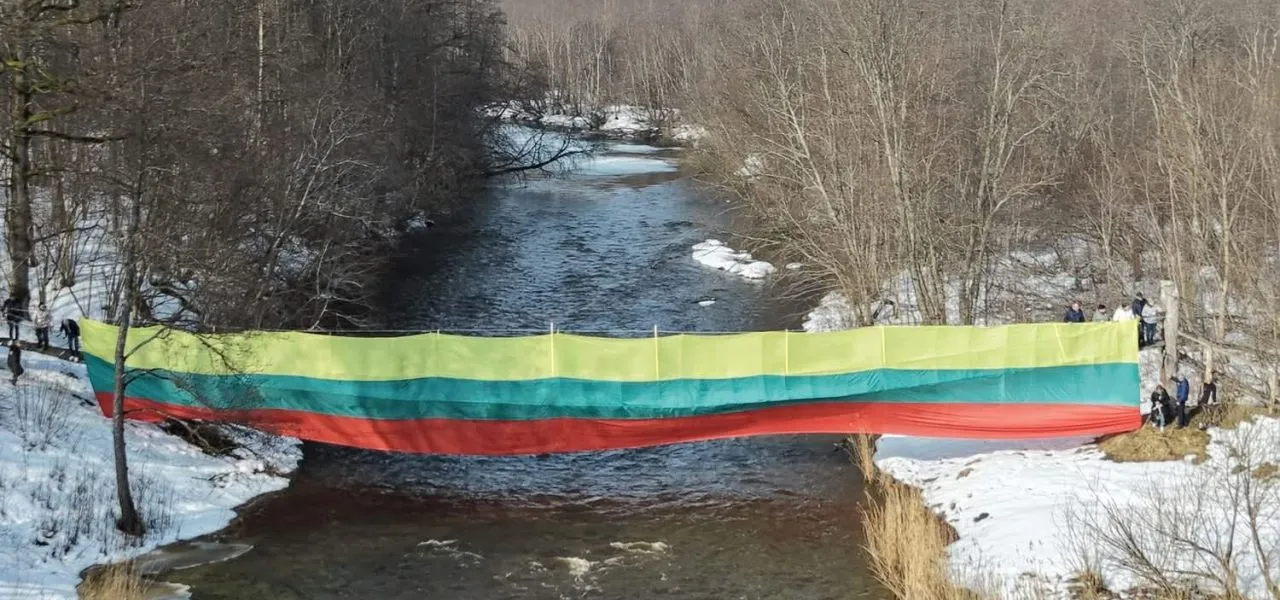 Kovo 11-osios minėjimas Padievaičio piliakalnyje 